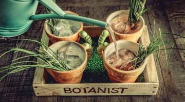 The Botanist Trinity Leeds