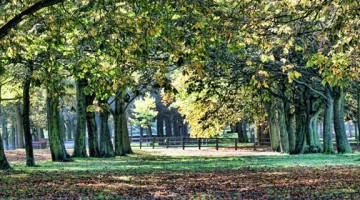 Temple Newsam