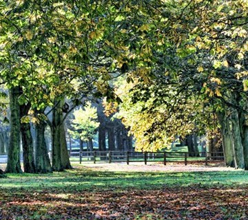 Temple Newsam