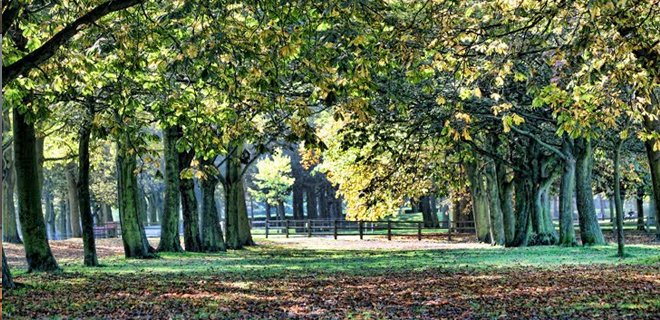 Temple Newsam